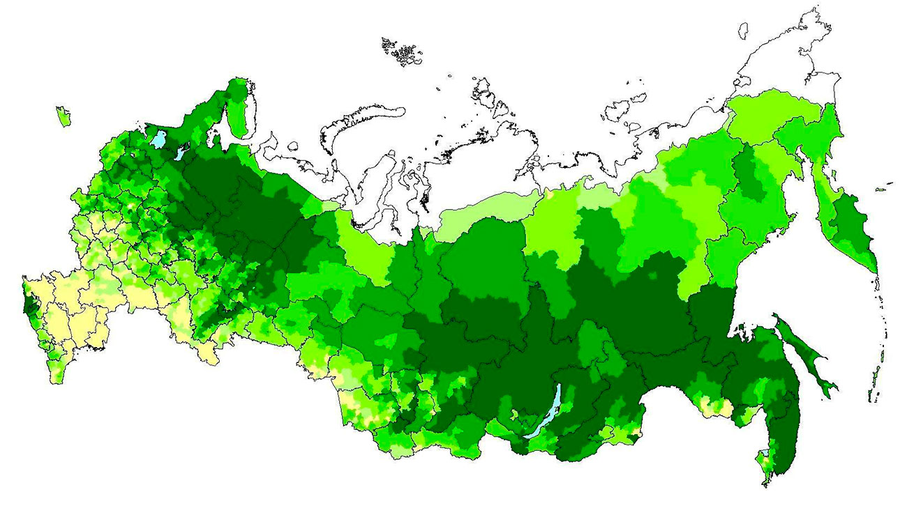 Карта лесов России